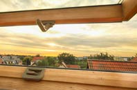 rated Sithney Common roof window companies